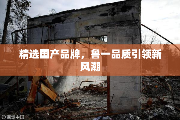 精选国产品牌，鲁一品质引领新风潮