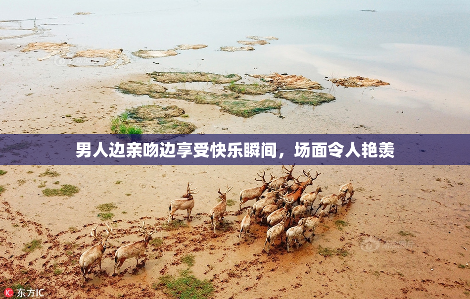 男人边亲吻边享受快乐瞬间，场面令人艳羡