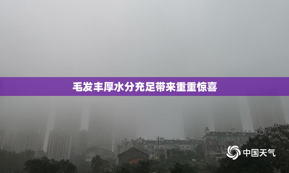 毛发丰厚水分充足带来重重惊喜