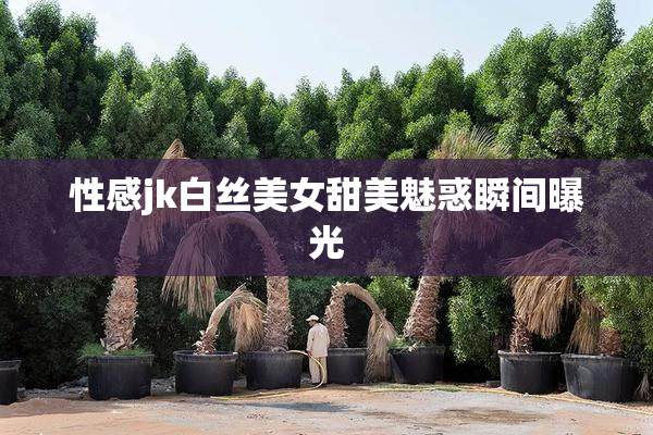 性感jk白丝美女甜美魅惑瞬间曝光