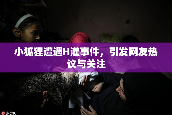小狐狸遭遇H灌事件，引发网友热议与关注