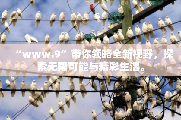 “www.9”带你领略全新视野，探索无限可能与精彩生活。