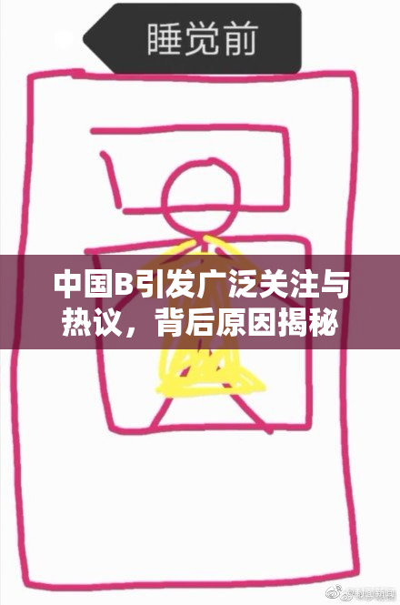 中国B引发广泛关注与热议，背后原因揭秘