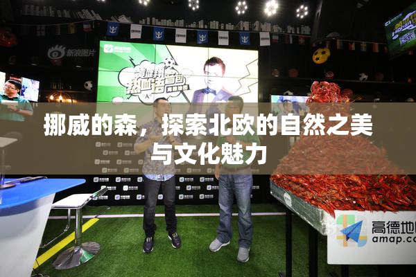 挪威的森，探索北欧的自然之美与文化魅力