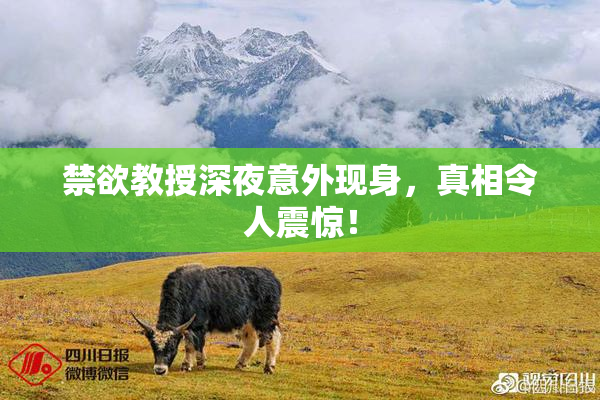 禁欲教授深夜意外现身，真相令人震惊！
