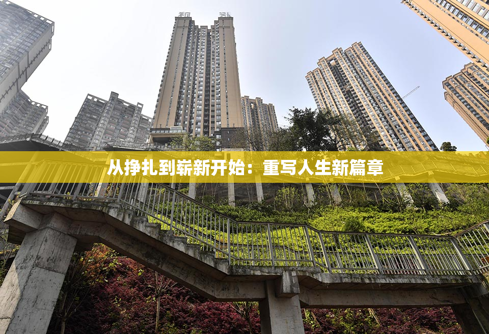从挣扎到崭新开始：重写人生新篇章