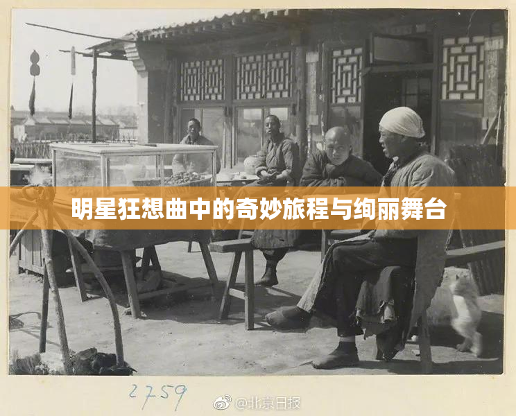明星狂想曲中的奇妙旅程与绚丽舞台