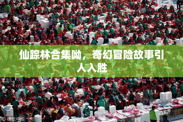 仙踪林合集呦，奇幻冒险故事引人入胜