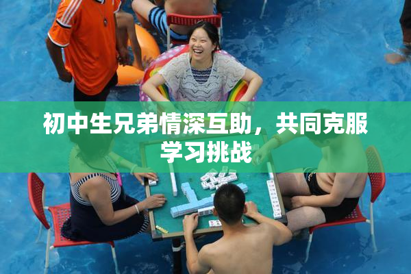 初中生兄弟情深互助，共同克服学习挑战