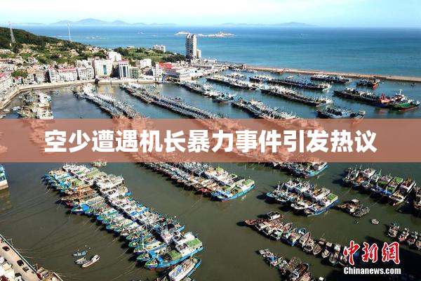 空少遭遇机长暴力事件引发热议