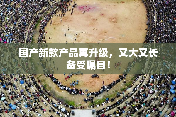 国产新款产品再升级，又大又长备受瞩目！