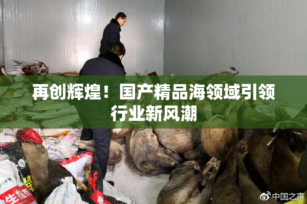再创辉煌！国产精品海领域引领行业新风潮