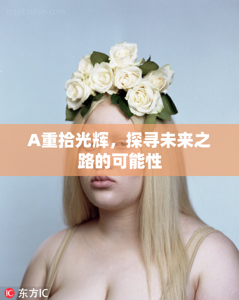 A重拾光辉，探寻未来之路的可能性