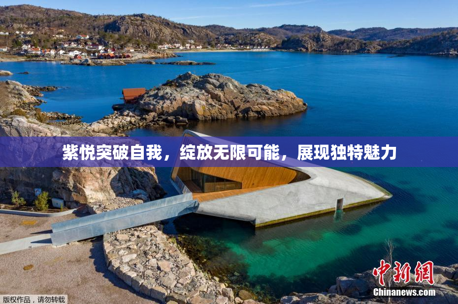 紫悦突破自我，绽放无限可能，展现独特魅力
