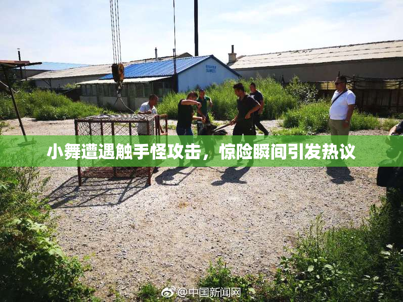 小舞遭遇触手怪攻击，惊险瞬间引发热议