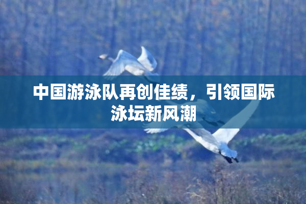 中国游泳队再创佳绩，引领国际泳坛新风潮