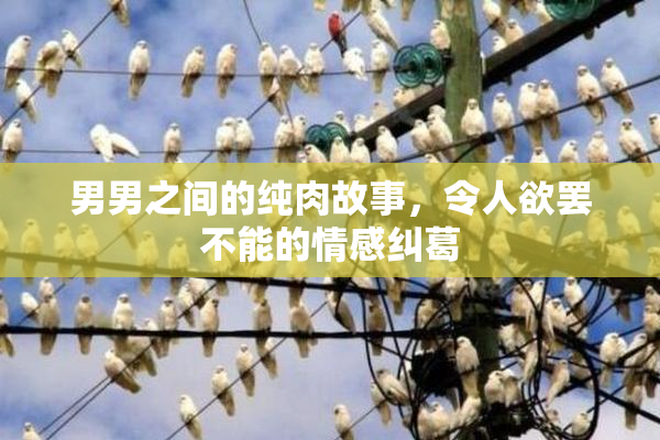 男男之间的纯肉故事，令人欲罢不能的情感纠葛