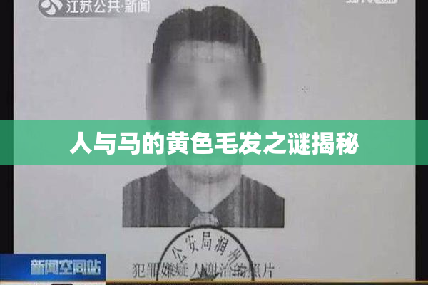 人与马的黄色毛发之谜揭秘