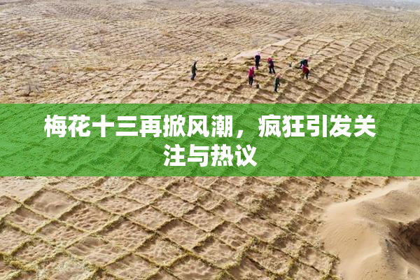 梅花十三再掀风潮，疯狂引发关注与热议