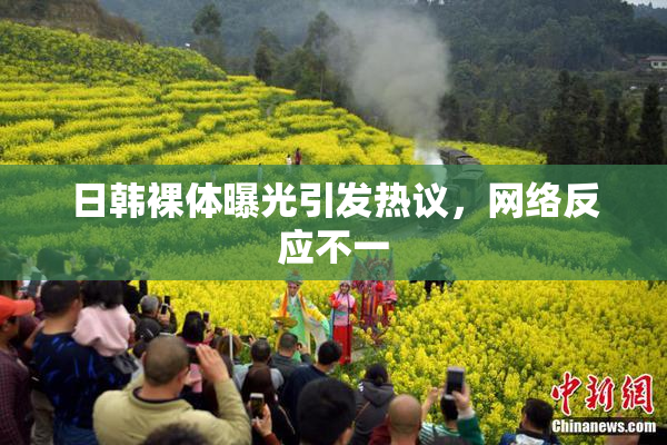 日韩裸体曝光引发热议，网络反应不一