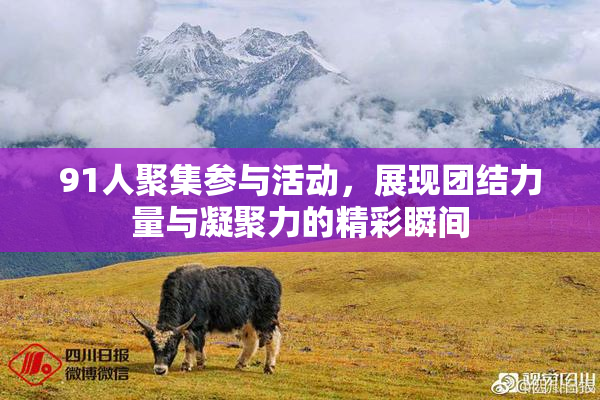 91人聚集参与活动，展现团结力量与凝聚力的精彩瞬间