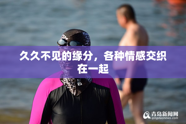 久久不见的缘分，各种情感交织在一起