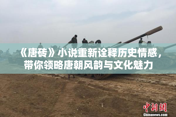 《唐砖》小说重新诠释历史情感，带你领略唐朝风韵与文化魅力