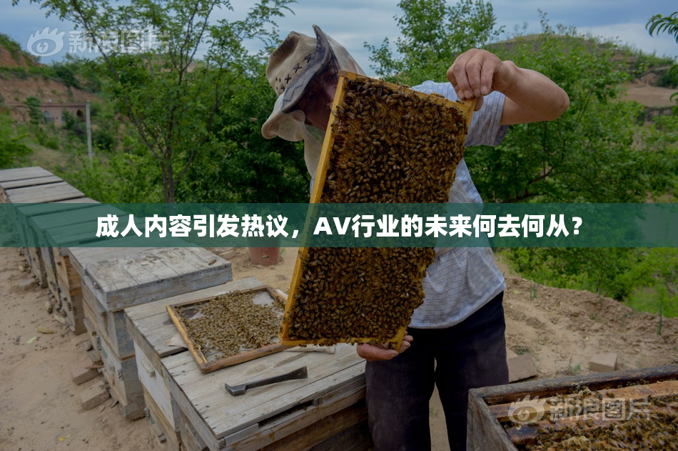 成人内容引发热议，AV行业的未来何去何从？