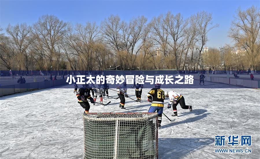 小正太的奇妙冒险与成长之路