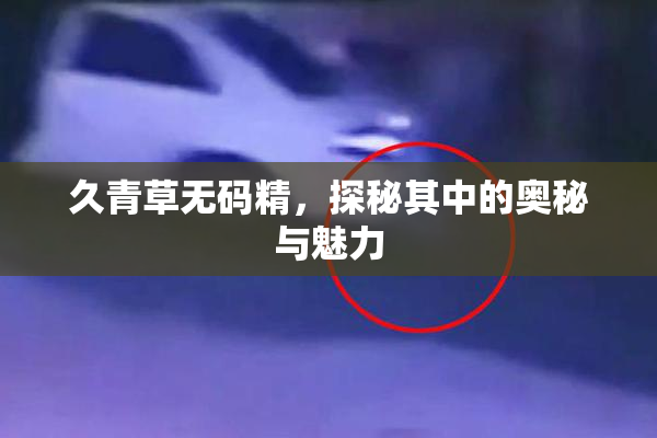 久青草无码精，探秘其中的奥秘与魅力