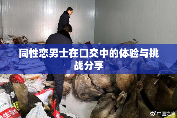 同性恋男士在囗交中的体验与挑战分享