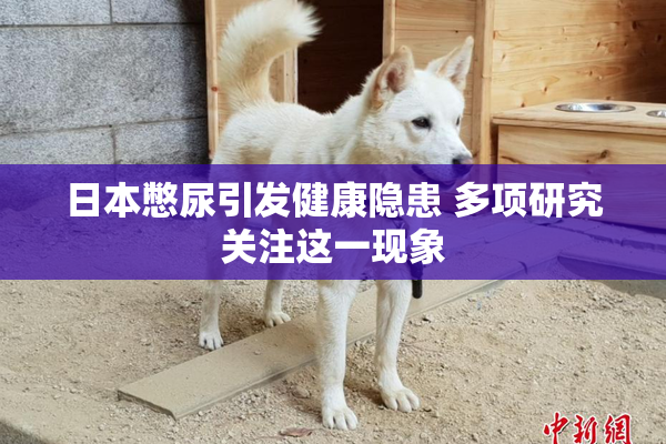 日本憋尿引发健康隐患 多项研究关注这一现象