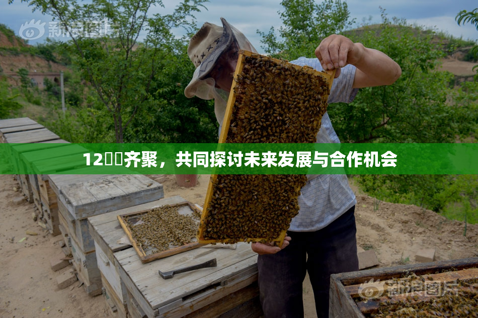 12妺妺齐聚，共同探讨未来发展与合作机会
