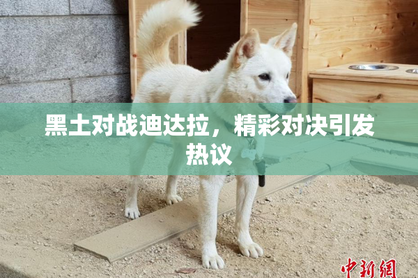 黑土对战迪达拉，精彩对决引发热议
