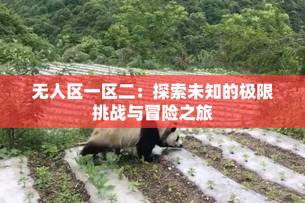 无人区一区二：探索未知的极限挑战与冒险之旅