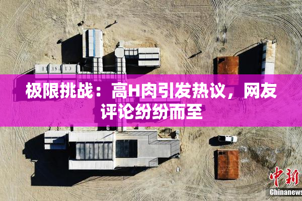 极限挑战：高H肉引发热议，网友评论纷纷而至