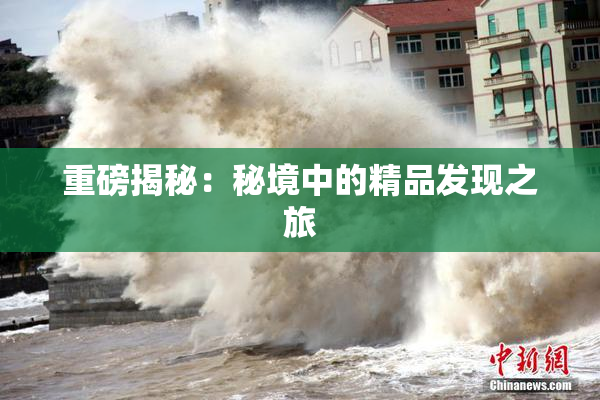 重磅揭秘：秘境中的精品发现之旅