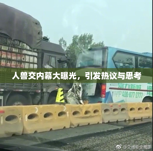 人兽交内幕大曝光，引发热议与思考