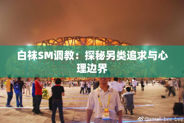 白袜SM调教：探秘另类追求与心理边界