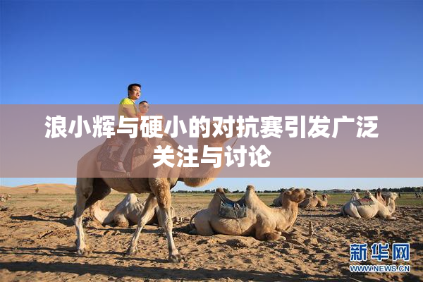 浪小辉与硬小的对抗赛引发广泛关注与讨论