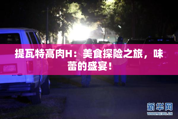 提瓦特高肉H：美食探险之旅，味蕾的盛宴！