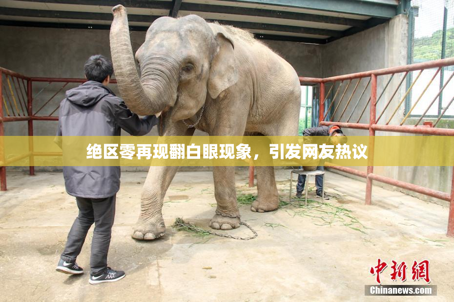 绝区零再现翻白眼现象，引发网友热议