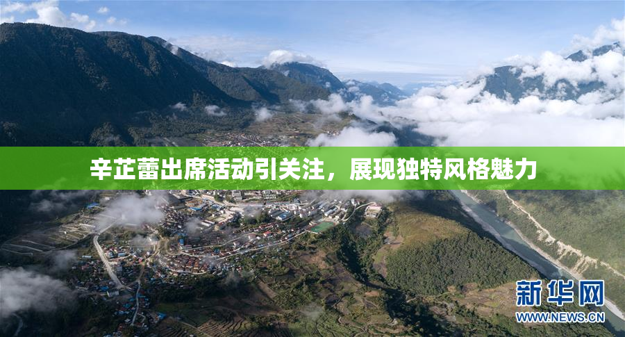 辛芷蕾出席活动引关注，展现独特风格魅力