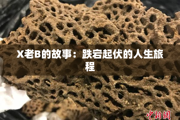 X老B的故事：跌宕起伏的人生旅程