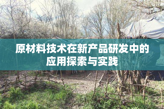原材料技术在新产品研发中的应用探索与实践