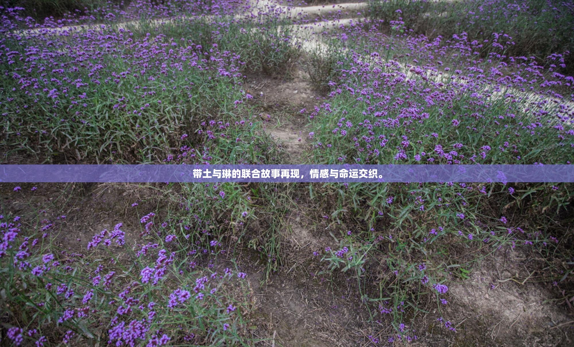 带土与琳的联合故事再现，情感与命运交织。