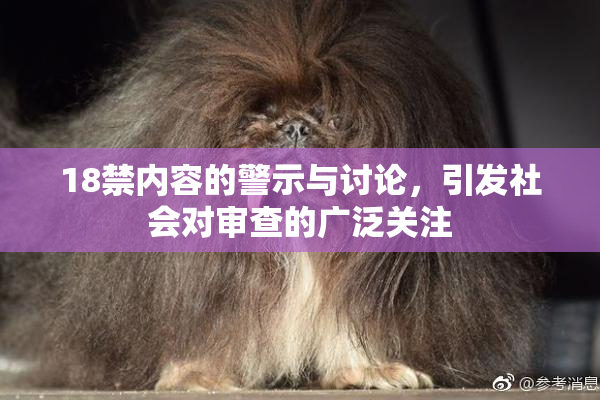 18禁内容的警示与讨论，引发社会对审查的广泛关注