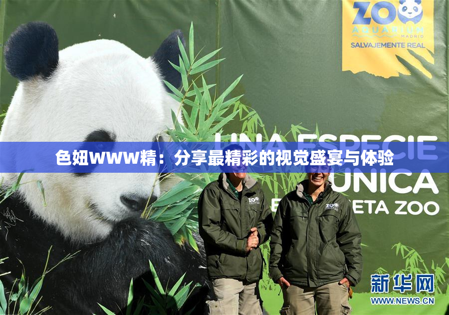 色妞WWW精：分享最精彩的视觉盛宴与体验