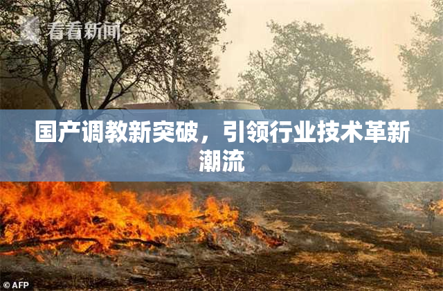 国产调教新突破，引领行业技术革新潮流