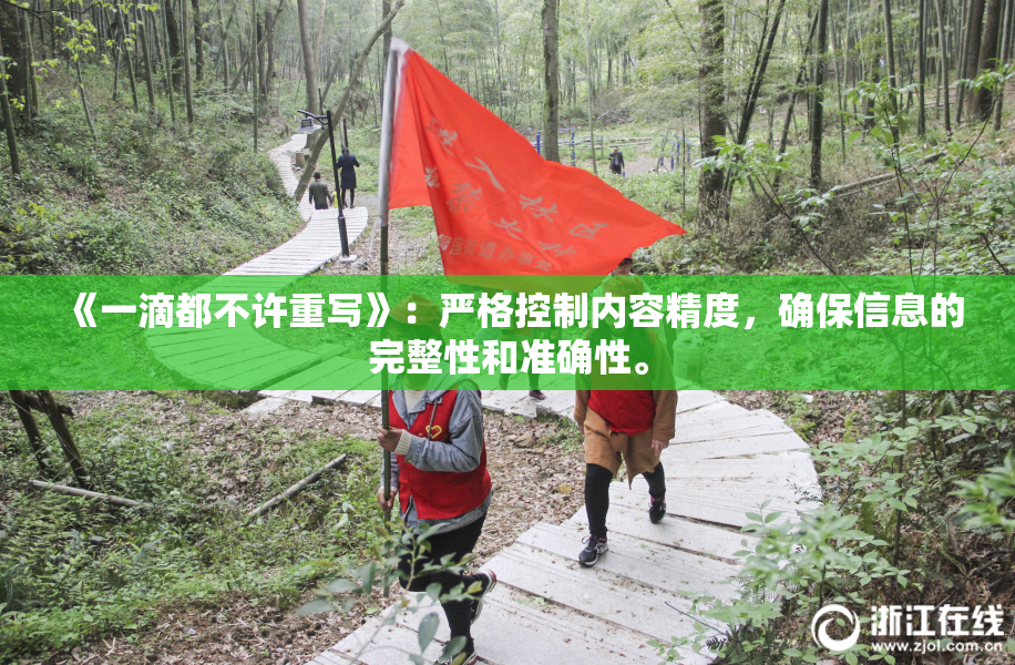 《一滴都不许重写》：严格控制内容精度，确保信息的完整性和准确性。
